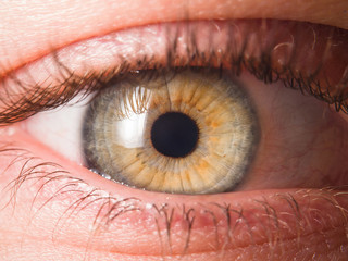 Detail of human eye eyeball