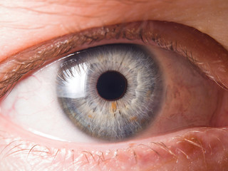 Detail of human eye eyeball