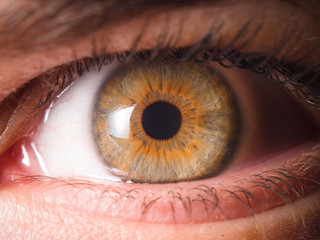 Detail of human eye eyeball