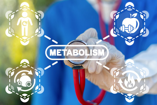 Metabolism Symbiosis Medical Concept. Human Comprehensibility Metabolic Syndrome.