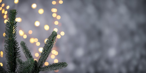 Weihnachtlicher Hintergrund mit Tannenzweig