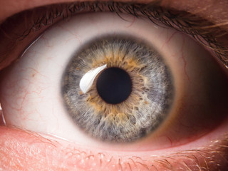 Detail of human eye eyeball
