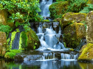 Zelfklevend Fotobehang Watervallen Pacific Northwest-waterval en groen