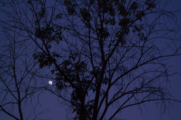 A beautiful and blue sky