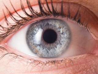 Detail of human eye eyeball