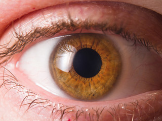 Detail of human eye eyeball
