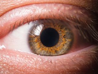 Detail of human eye eyeball