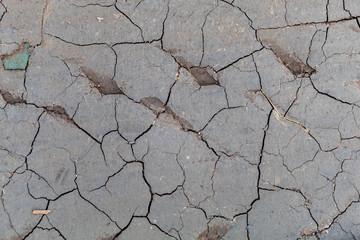 Dry Cracked Soil Texture Top View