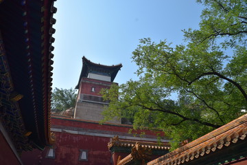 China Architecture