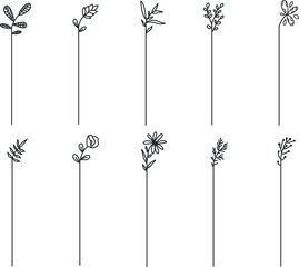 Hand drawn set of line frames on a white background. Sketch elements of floral and herbs ornaments for banner design. Line border collection. Arrows. Isolated separators. Vintage border. 