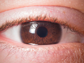 Human eye close up medical detail