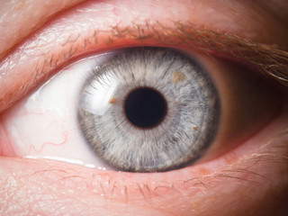 Human eye close up medical detail