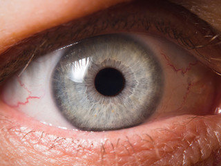 Human eye close up medical detail