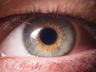 Human eye close up medical detail
