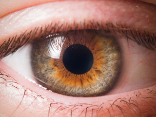 Human eye close up medical detail