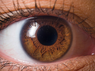 Human eye close up medical detail