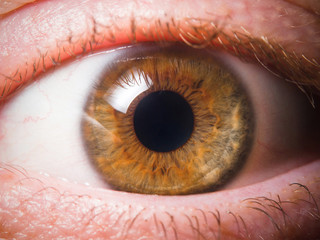 Human eye close up medical detail