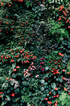 Floral Background
