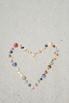 Seashell Heart on Beach