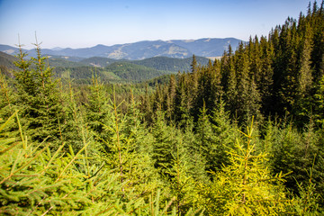mountain, the mountains beautiful landscape