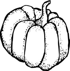 Pumpkin ink sketch isolated on white background. Hand drawn vector illustration in doodle style. Thanksgiving Day, Halloween pumpkin icon. Autumn illustration. Decoration element.