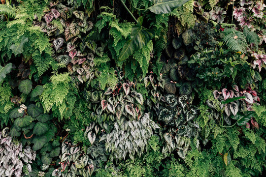 Green leaf background