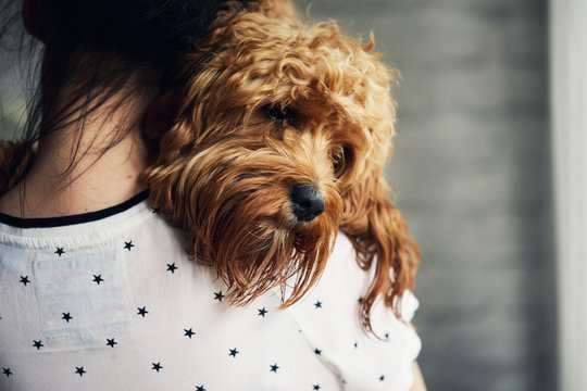 Woman holding her pet puppy dog