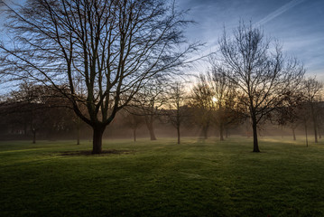 Fototapeta na wymiar Sunrise in foggy park shining with sun rays through the trees and branches. Beautiful scenic view on a silent and tranquil morning in an empty, vivid and colorful park.