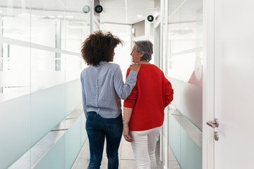 Back view of female coworkers working on new project