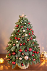 Beautiful small Christmas tree on wooden table. Happy mood. Garland lamp bokeh on background. Wallpaper. Danish pine and fir, Nobilis