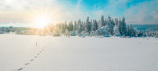 Stunning panorama of snowy landscape in winter in Black Forest - winter wonderland - obrazy, fototapety, plakaty