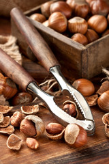 Hazelnut with nutcracker on  wooden board