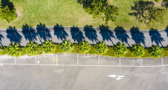 Aerial view of parking spaces under palm trees