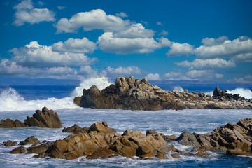 Fototapeta na wymiar Surf Crashing on Rocks on Pacific Coast