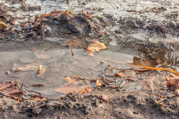 Mud Puddle with Ice