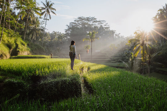 Exploring tegalalang rice fields