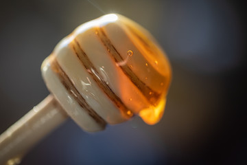Honey Drip with dark background