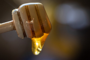 honey on dark background