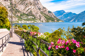 Cozy city street of Limone Sul Garda with paving stone sidewalk, blooming flowers on a metal railings, growing trees with amazing Garda lake and dolomite mountains on the background. Scenic promenade
