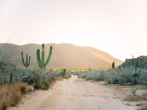 Desert Dirt Road Landscape At Sunset