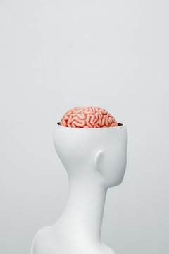 Female white mannequin with the top of the head opened. Can see the brain inside