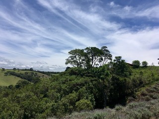 Blue sky in the field