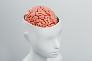 Female white mannequin with the top of the head opened. Can see the brain inside