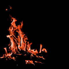 Fototapeta premium Flames of fire on a black background. The mystery of fire.