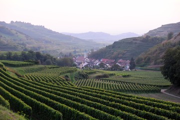 Vogtsburg-Schelingen im Kaiserstuhl- Kaiserstuhl Vineyards
