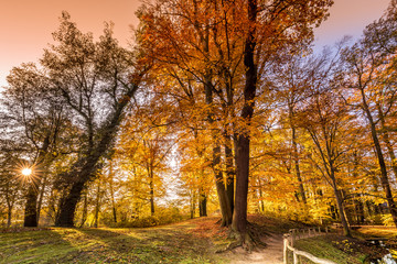 Branitzer Park Cottbus