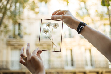 Crop hands showing frame with flowers on street