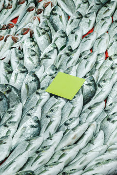Rows of fresh fish selling in shop