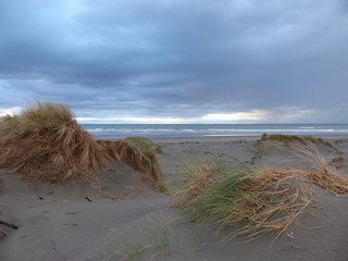Sand dunes in a rainy evening at Foxton beach in New Zealand