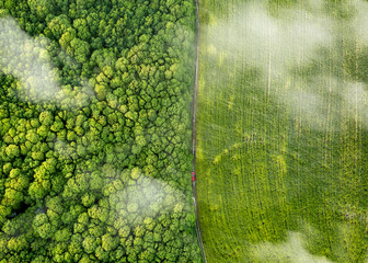 Aerial view from a drone through white clouds on a green field and forest with a road and a passing car. Natural layout